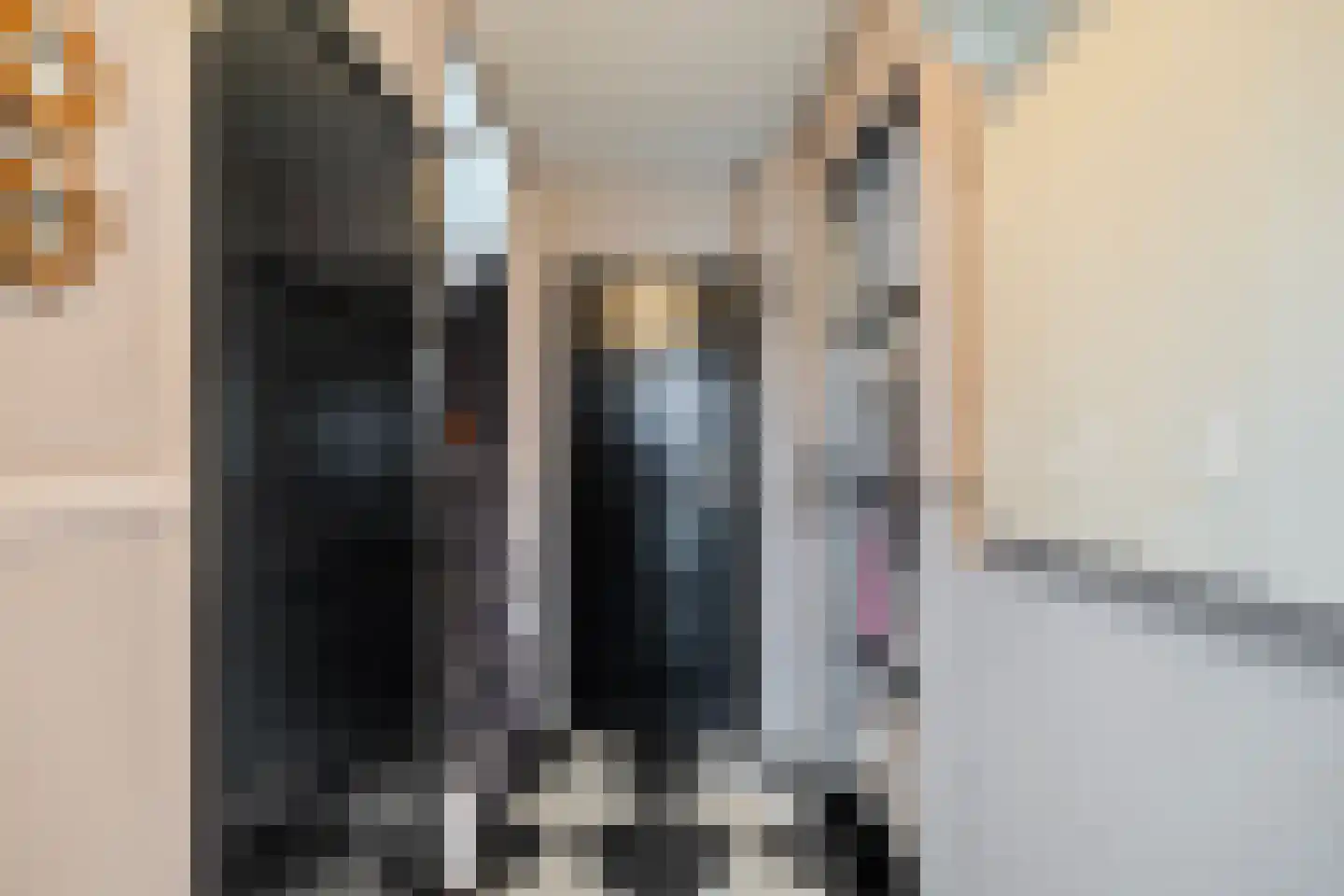 Banbroek 25 Hippolytushoef thumbnail 6