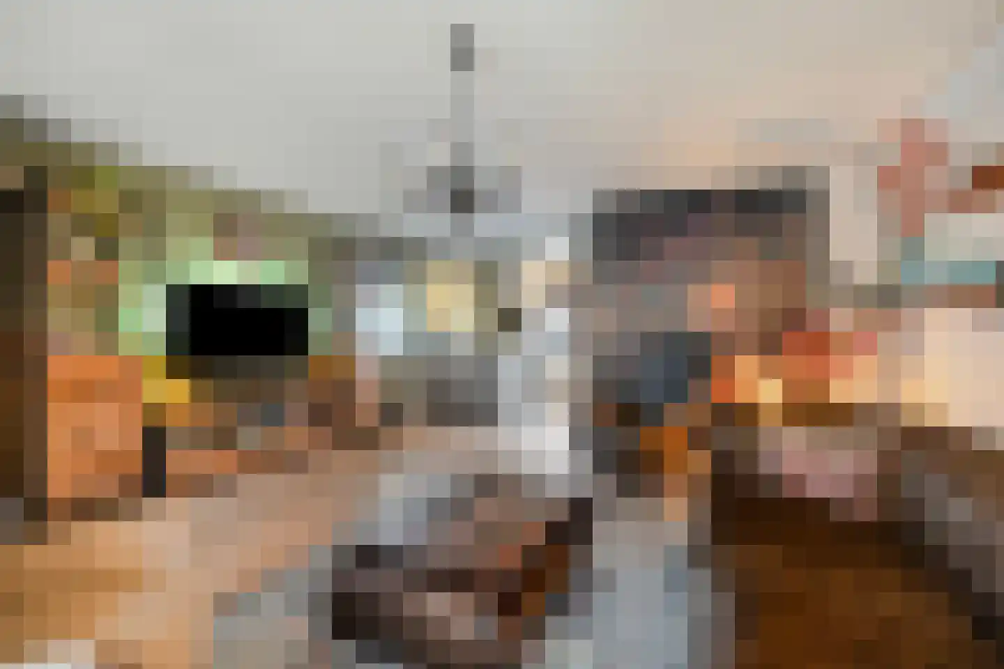 Banbroek 25 Hippolytushoef thumbnail 8