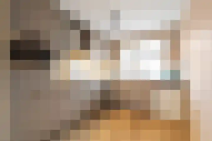 Banbroek 9 Hippolytushoef thumbnail 11