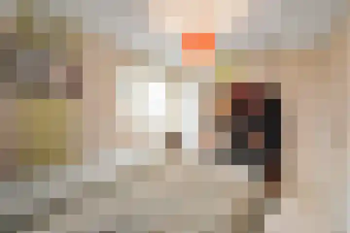 Banbroek 9 Hippolytushoef thumbnail 17