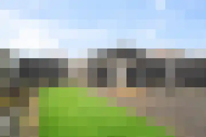 Banbroek 9 Hippolytushoef thumbnail 28