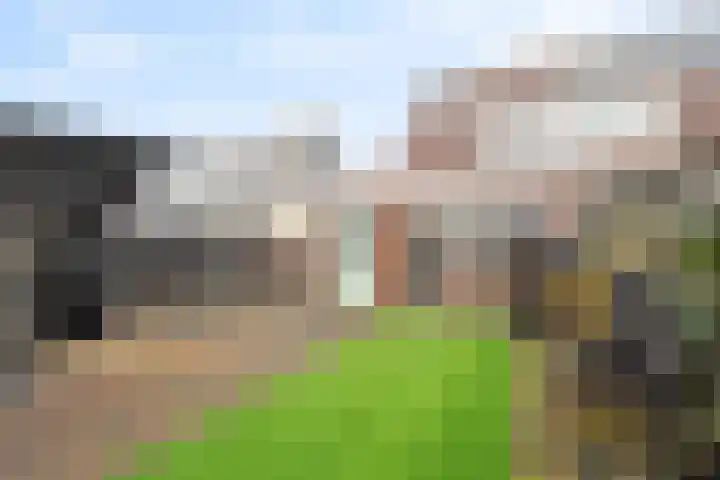 Banbroek 9 Hippolytushoef thumbnail 29