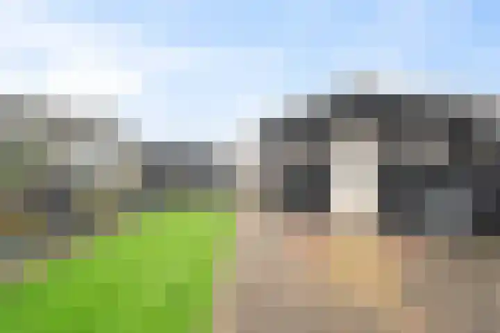 Banbroek 9 Hippolytushoef thumbnail 30