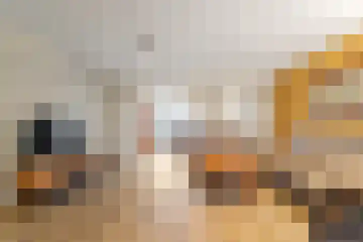 Banbroek 9 Hippolytushoef thumbnail 6