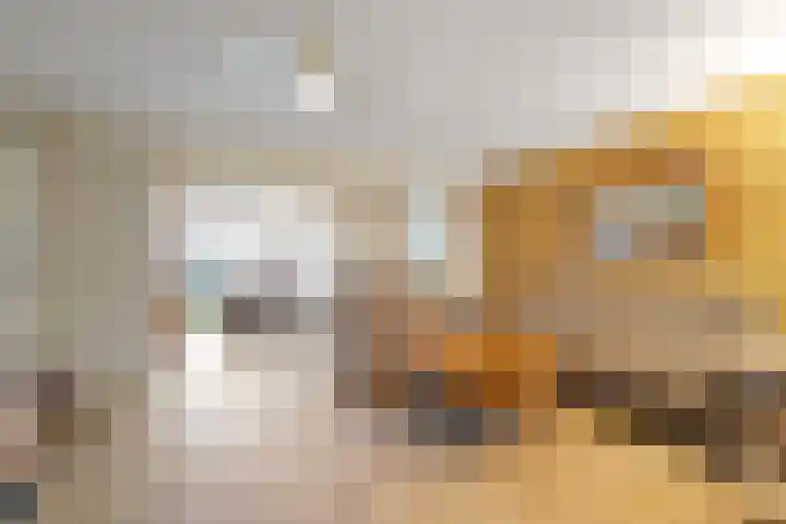 Banbroek 9 Hippolytushoef thumbnail 7