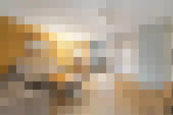 Banbroek 9 Hippolytushoef thumbnail 8