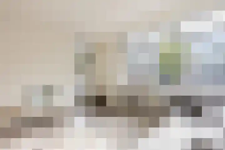 Banckertlaan 101 Hilversum thumbnail 10