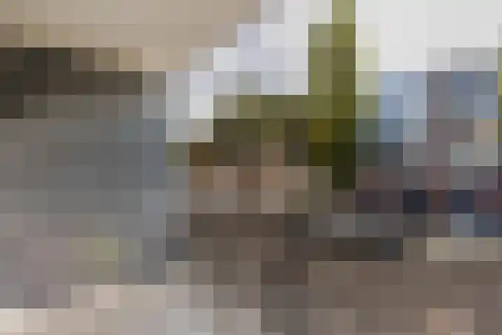 Banckertlaan 101 Hilversum thumbnail 26