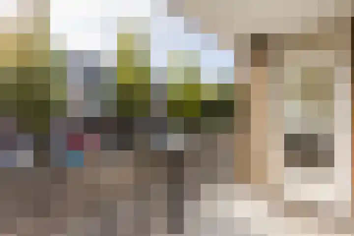 Banckertlaan 101 Hilversum thumbnail 27