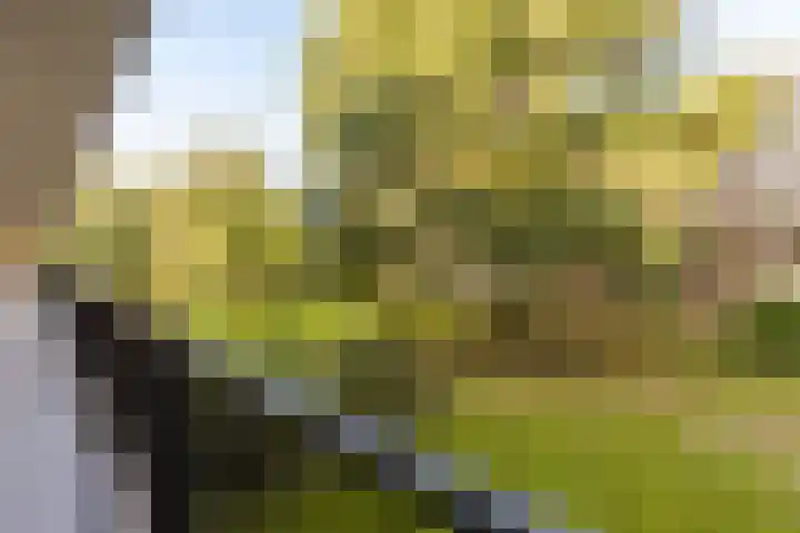 Banckertlaan 101 Hilversum thumbnail 4