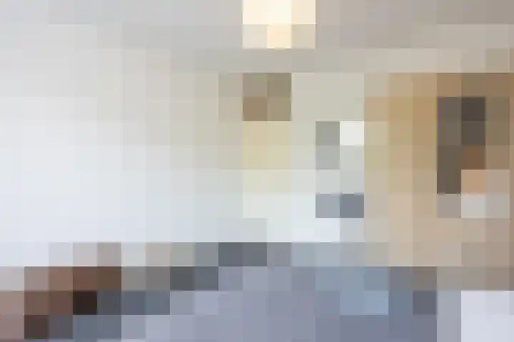 Banckertlaan 109 Hilversum thumbnail 24