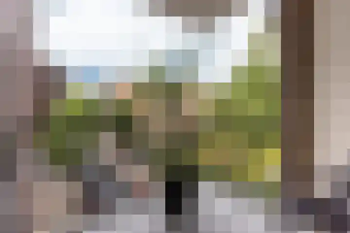Banckertlaan 109 Hilversum thumbnail 32