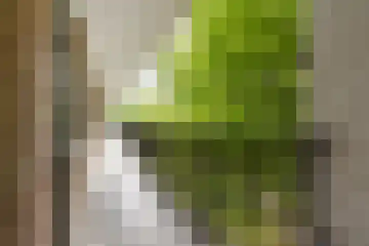Banckertlaan 109 Hilversum thumbnail 4