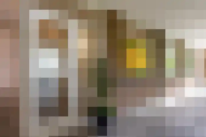 Banckertlaan 109 Hilversum thumbnail 5