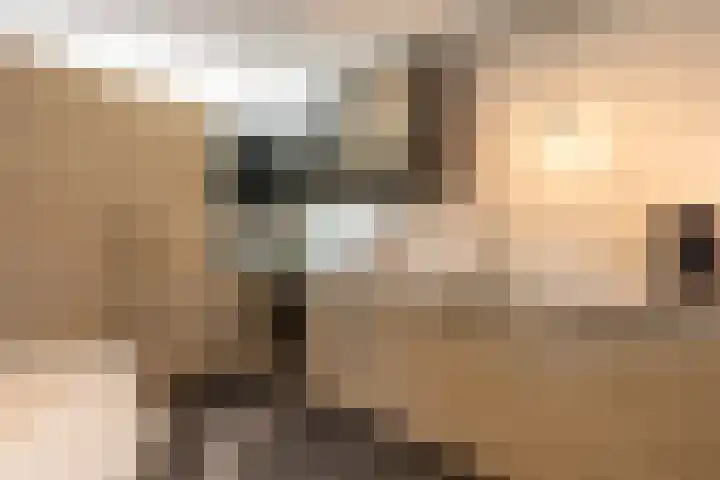Banckertlaan 109 Hilversum thumbnail 8