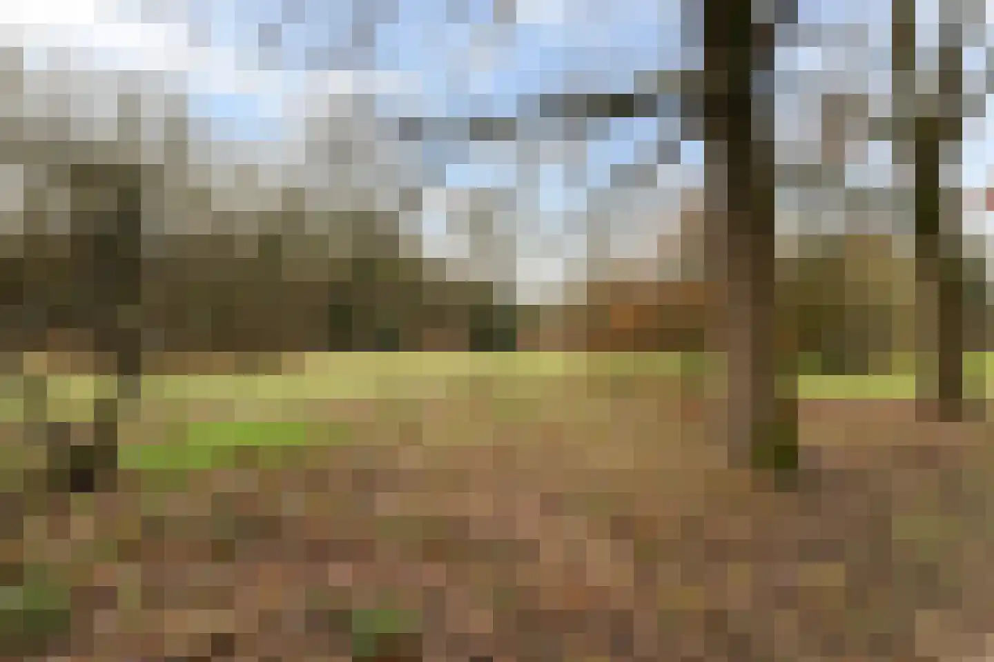 Banckertlaan 113 Hilversum thumbnail 19