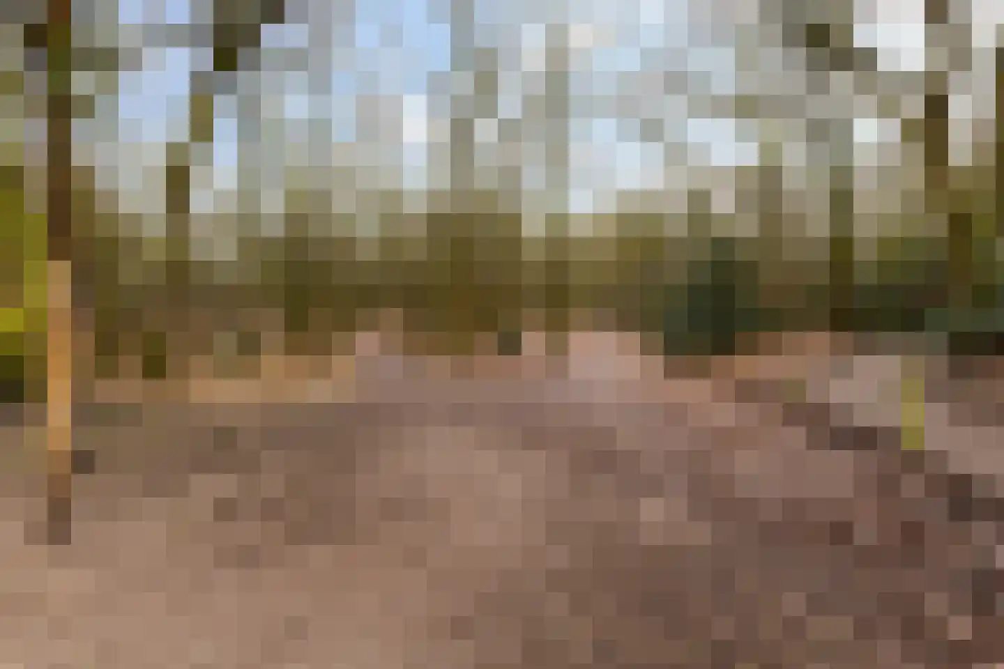 Banckertlaan 113 Hilversum thumbnail 21
