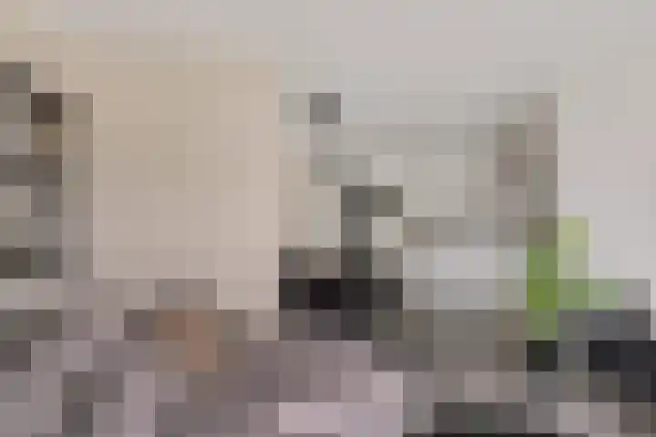 Banckertlaan 12 Baarn thumbnail 11