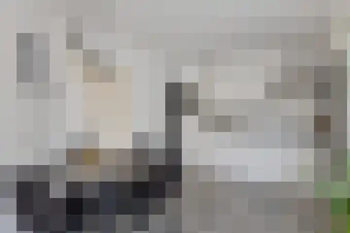 Banckertlaan 12 Baarn thumbnail 7