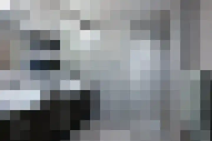 Banckertlaan 185 Hilversum thumbnail 12