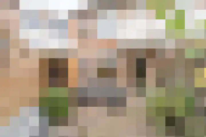 Banckertlaan 2 Baarn thumbnail 23
