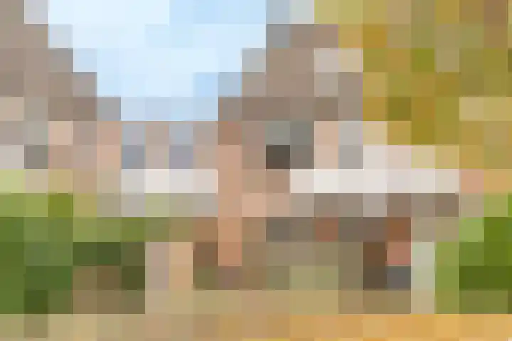 Banckertlaan 2 Baarn thumbnail 26
