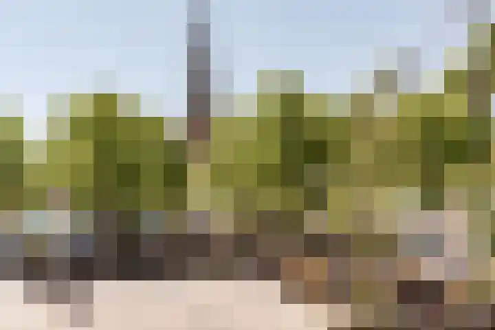 Banckertlaan 2 Baarn thumbnail 36