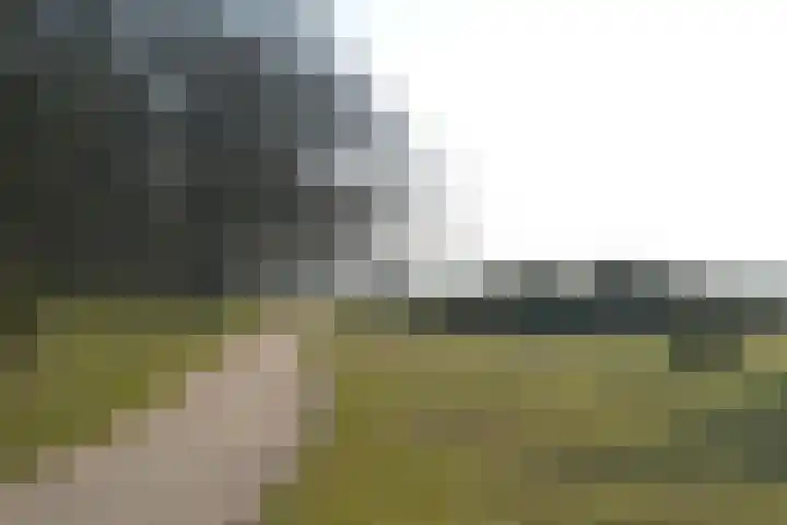 Banckertlaan 225 Hilversum thumbnail 17