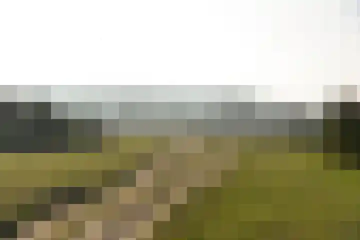 Banckertlaan 225 Hilversum thumbnail 18