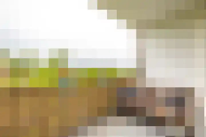 Banckertlaan 229 Hilversum thumbnail 11
