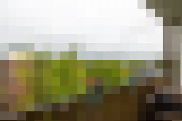 Banckertlaan 229 Hilversum thumbnail 12