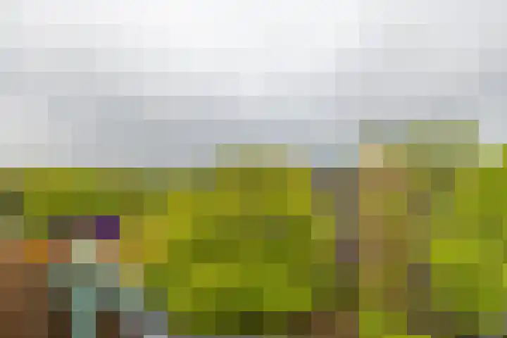 Banckertlaan 229 Hilversum thumbnail 13