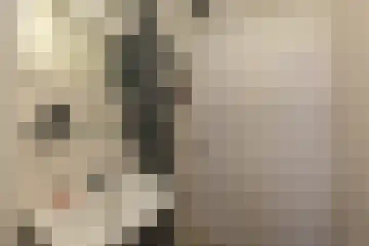 Banckertlaan 229 Hilversum thumbnail 19