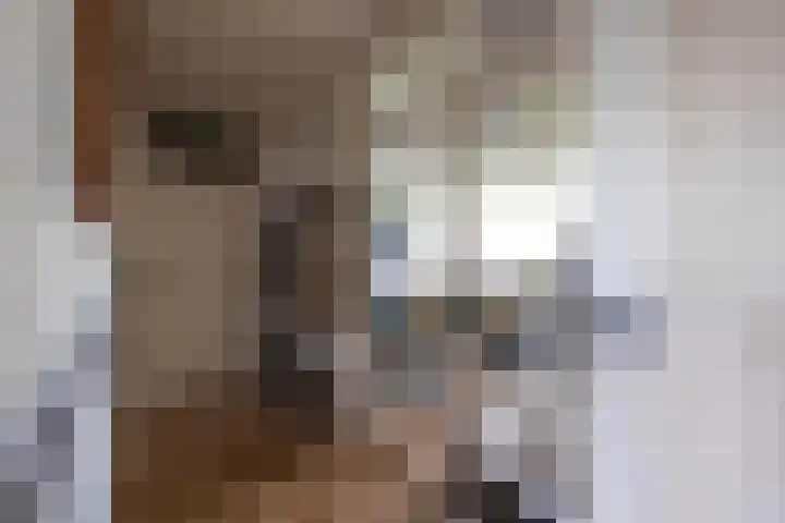 Banckertlaan 229 Hilversum thumbnail 4