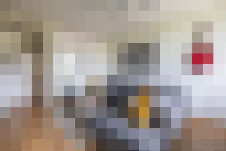 Banckertlaan 229 Hilversum thumbnail 6