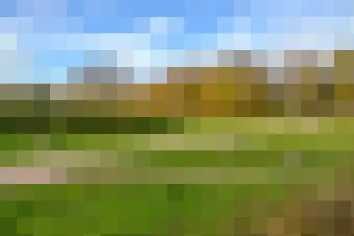 Banckertlaan 231 Hilversum thumbnail 4
