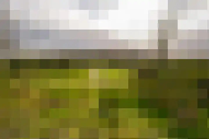 Banckertlaan 231 Hilversum thumbnail 5