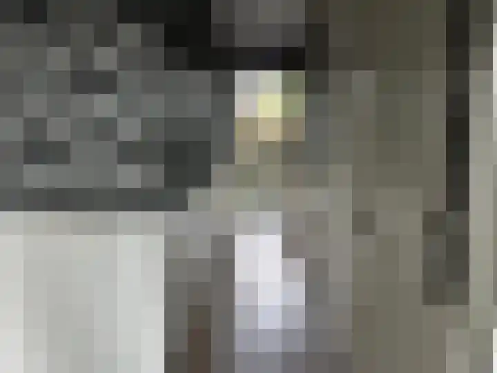 Banckertlaan 235 Hilversum thumbnail 8