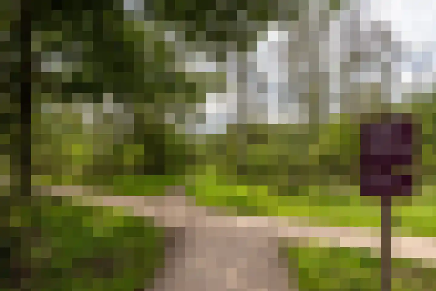 Banckertlaan 237 Hilversum thumbnail 33