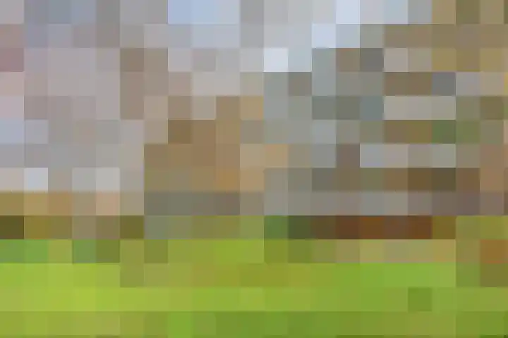 Banckertlaan 257 Hilversum thumbnail 32