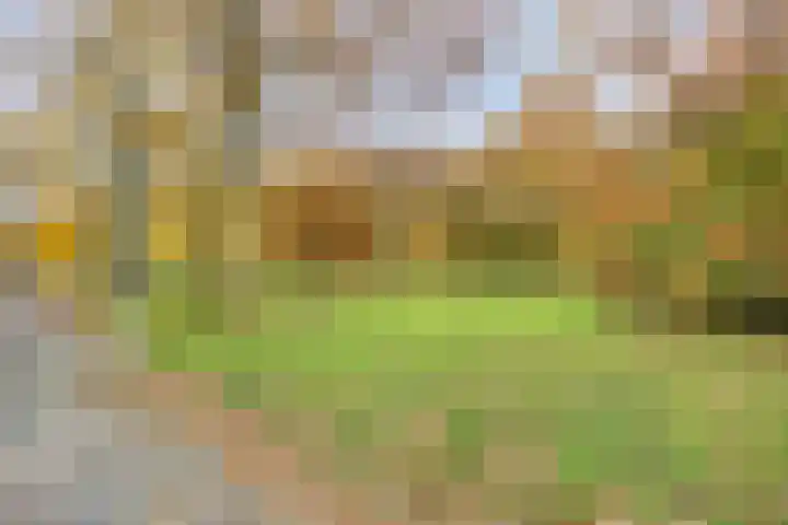 Banckertlaan 257 Hilversum thumbnail 33