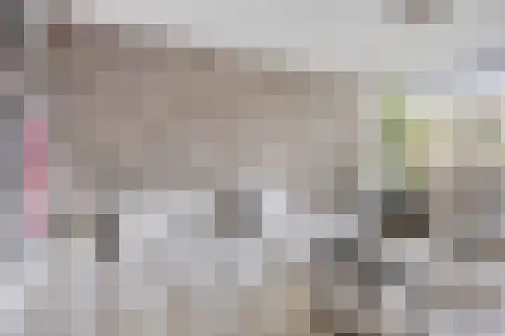 Banckertlaan 257 Hilversum thumbnail 5