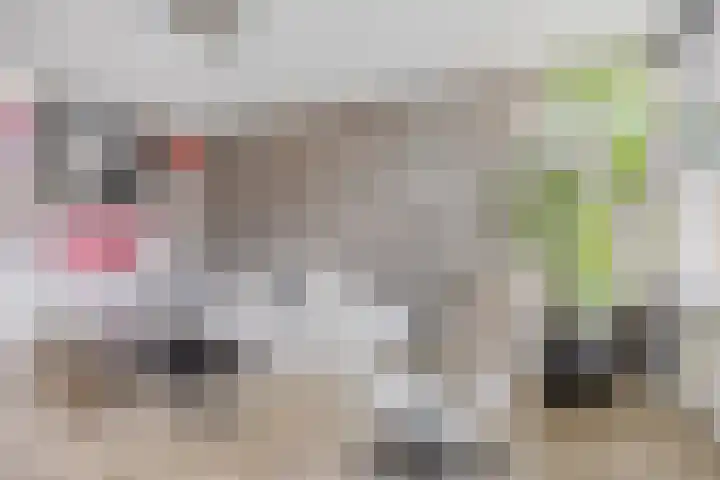 Banckertlaan 257 Hilversum thumbnail 6