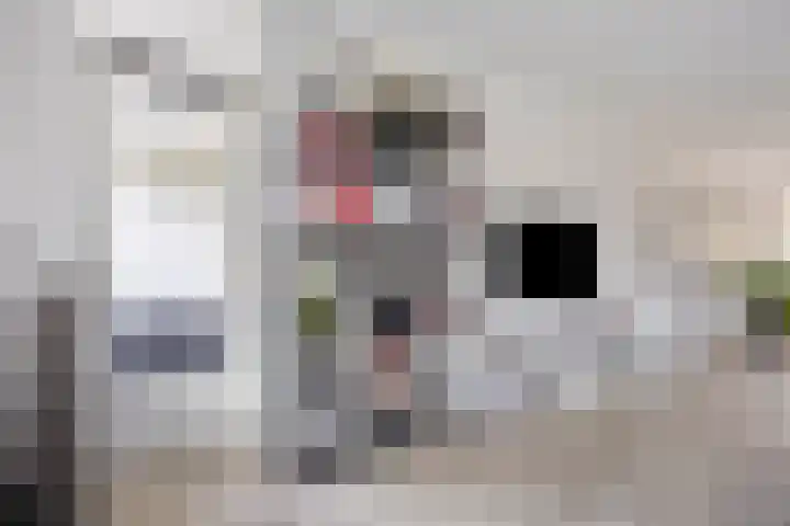 Banckertlaan 257 Hilversum thumbnail 8