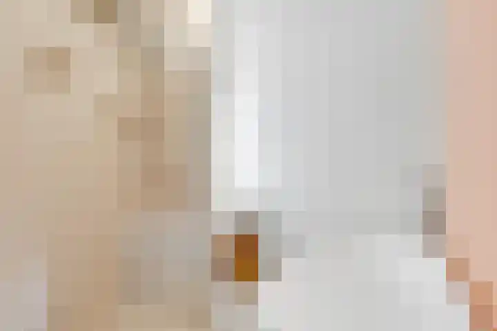 Banckertlaan 307 Hilversum thumbnail 21