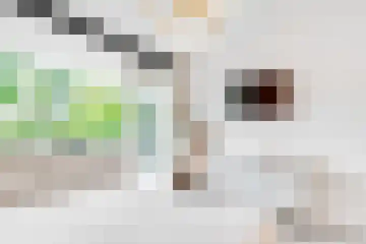 Banckertlaan 307 Hilversum thumbnail 25