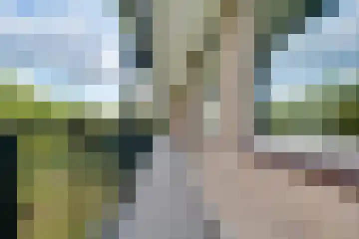 Banckertlaan 307 Hilversum thumbnail 28