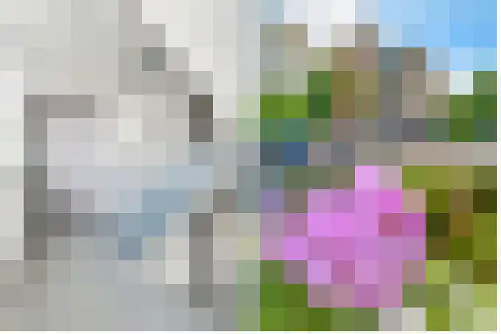 Banckertlaan 307 Hilversum thumbnail 31