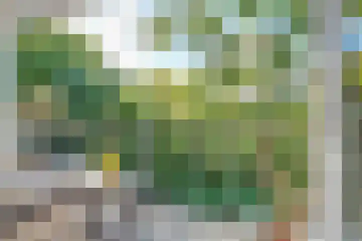 Banckertlaan 307 Hilversum thumbnail 33