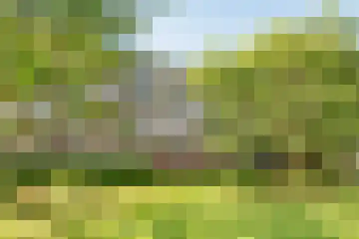 Banckertlaan 307 Hilversum thumbnail 34